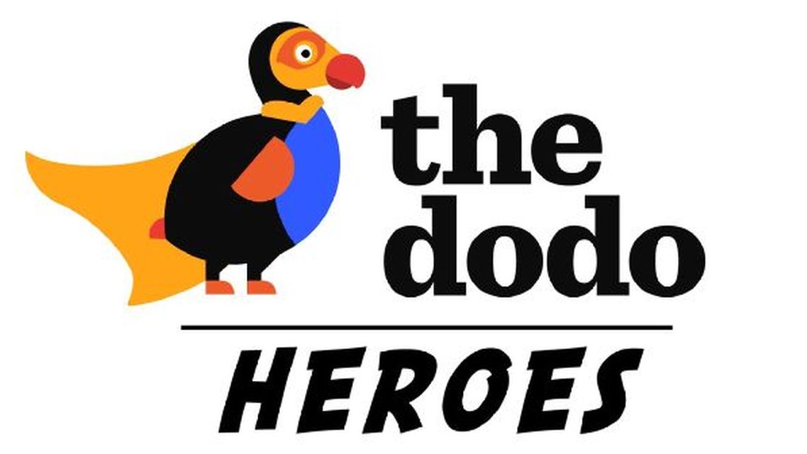 Heroji organizacije Dodo