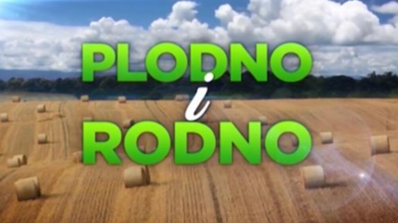 Plodno i rodno