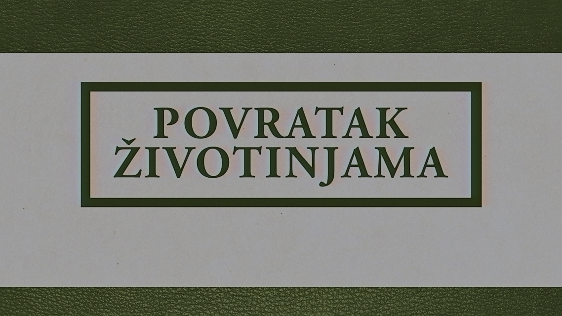 Povratak životinjama: Konj lipicanac, dokumentarna serija (12/12)
