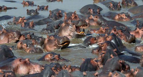 Caught In The Act: Double Life