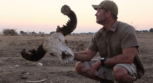 Predatori izbliza s Džoelom Lambertom
