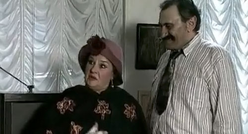 Žikina ženidba